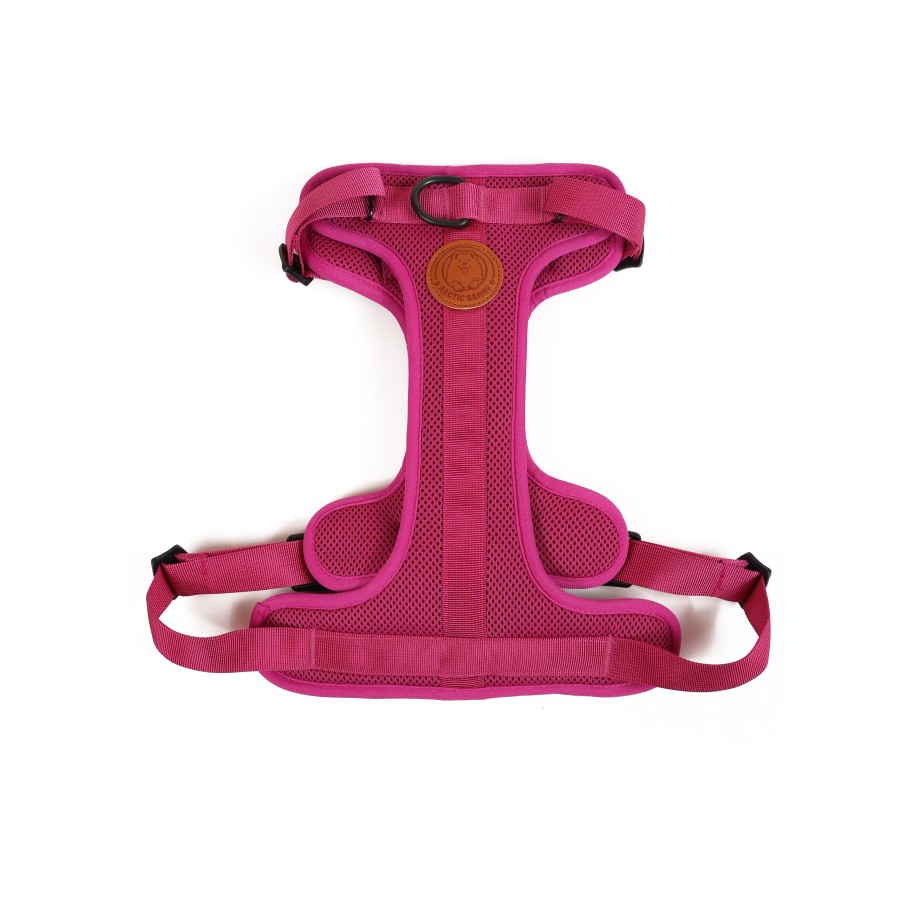 Accessories 432HZ | Arctic Sammy Adventure Harness Pink - M/L