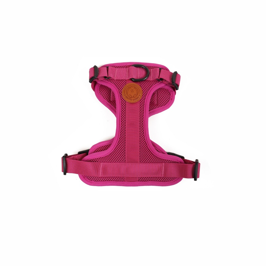 Accessories 432HZ | Arctic Sammy Adventure Harness Pink - Small