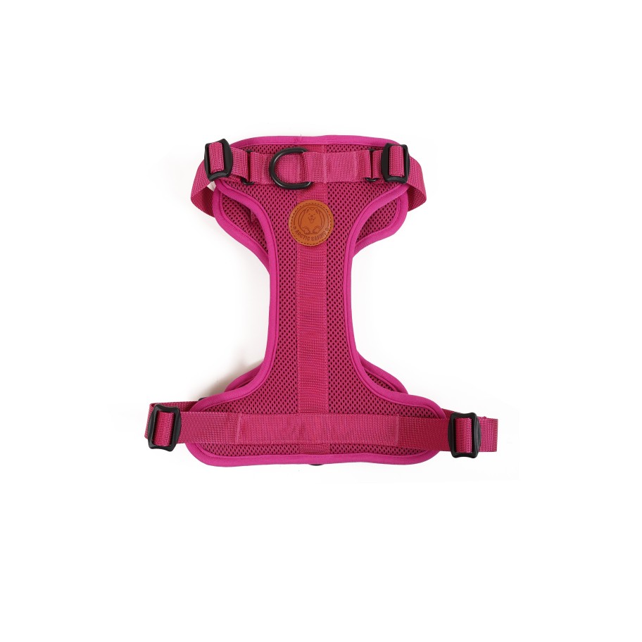 Accessories 432HZ | Arctic Sammy Adventure Harness Pink - Medium